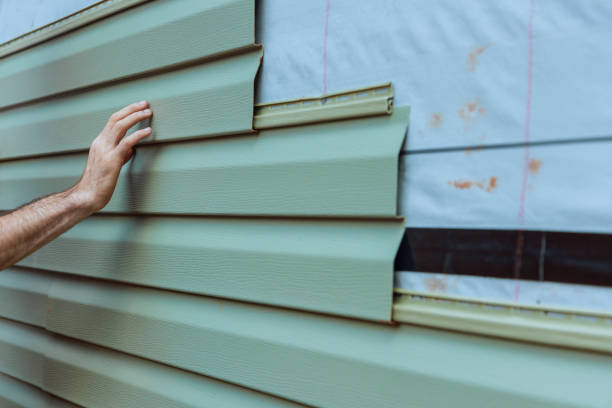 Best Vinyl Siding Installation  in St Charles, MO